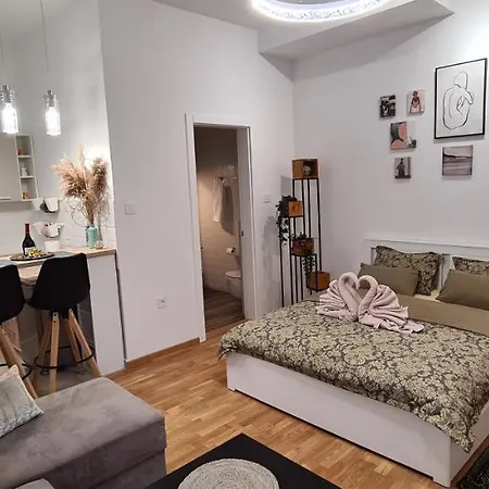 Delena Novi Sad